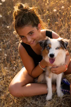 portrait-de-chien-var-draguignan