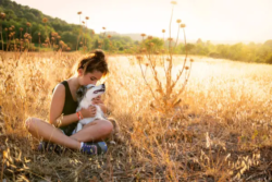 portrait-de-chien-var-toulon